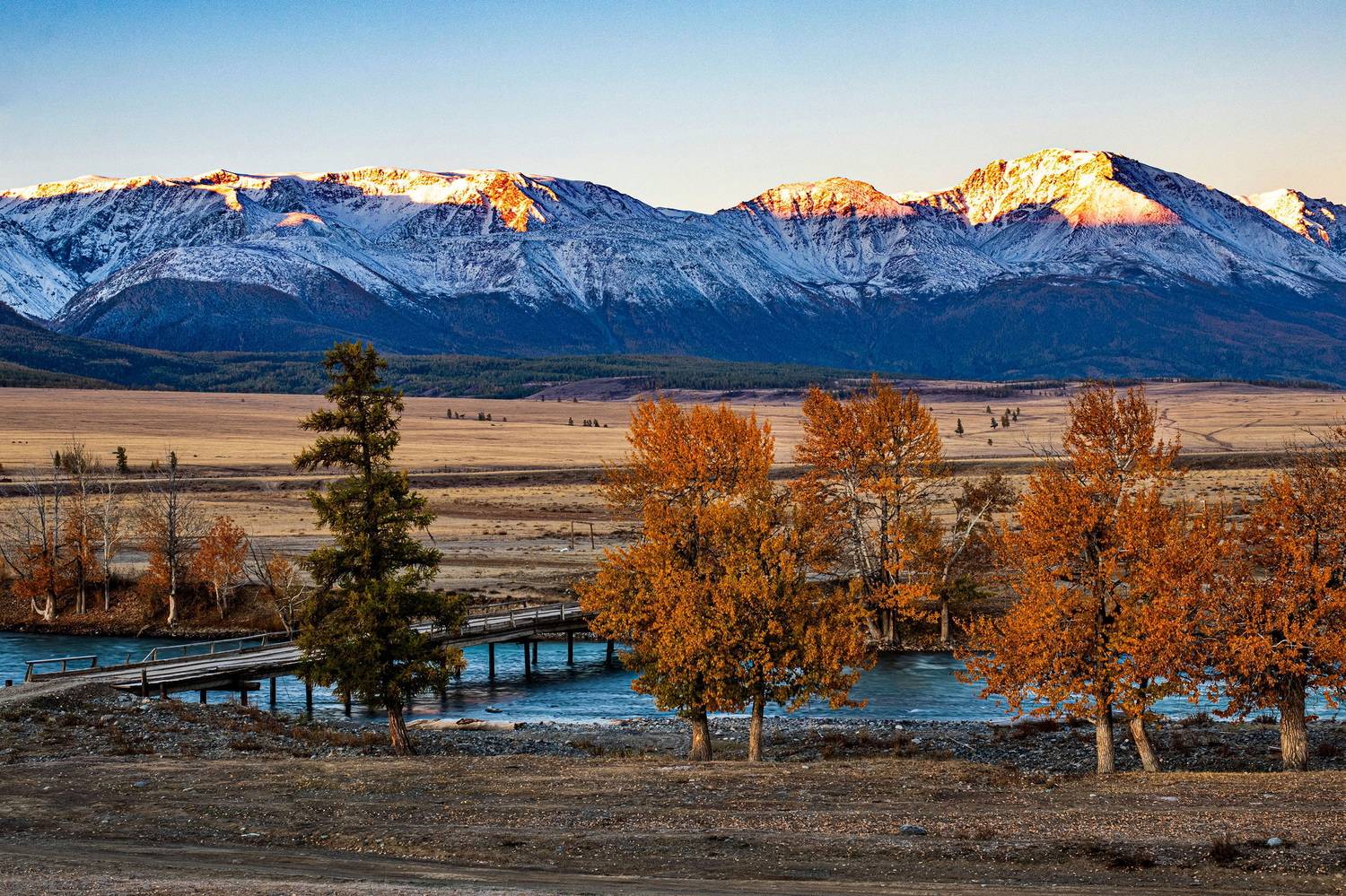 алтай, Добролюбова Тамара