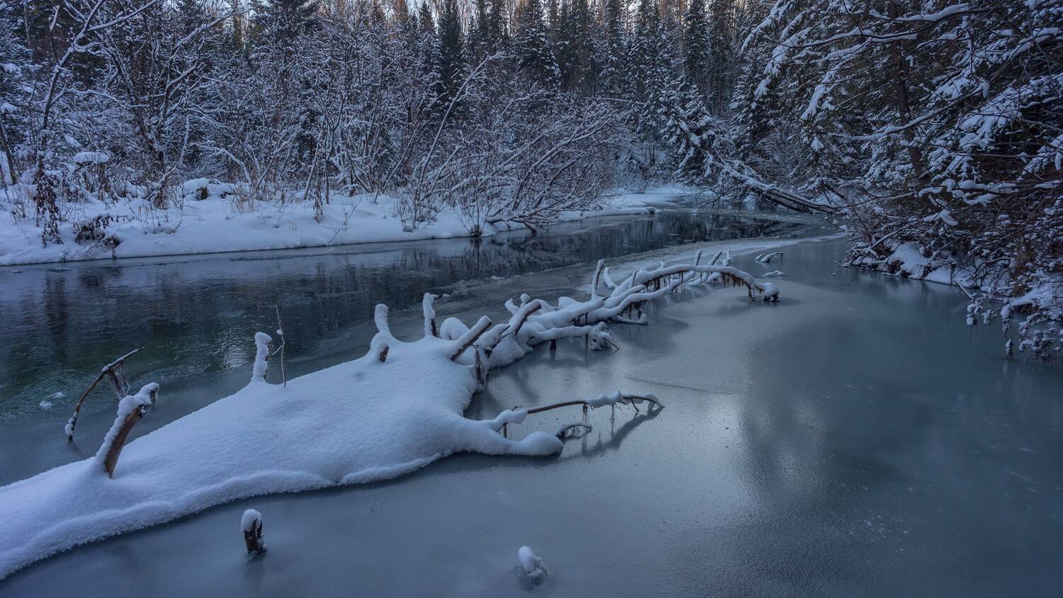 базаиха ноябрь, Беляев Юрий