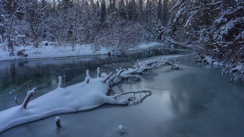 базаиха ноябрь ** * фото превью