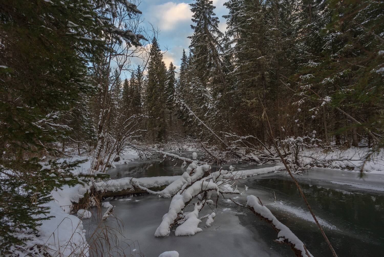 базаиха ноябрь, Беляев Юрий
