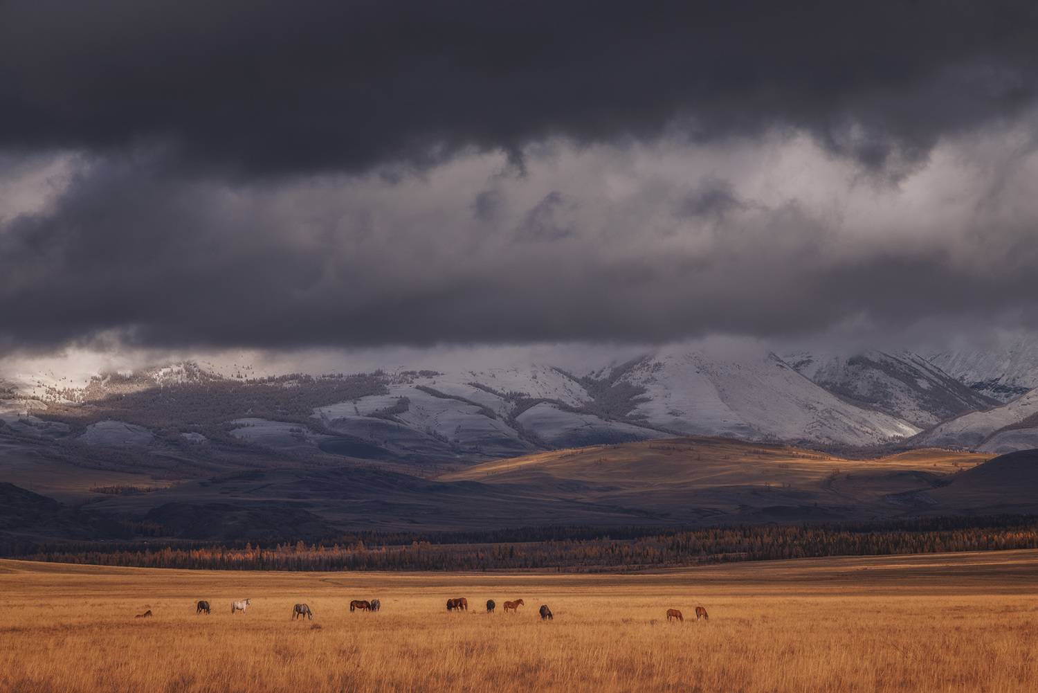 , Морозов Сергей