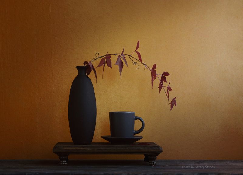 натюрморт, минимализм, цветы, minimalism, still life Фантазия с листьями и оттенками цвета фото превью