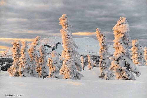 Скромный вечер