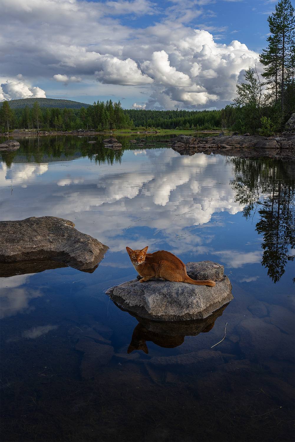 , Елена Михайлова