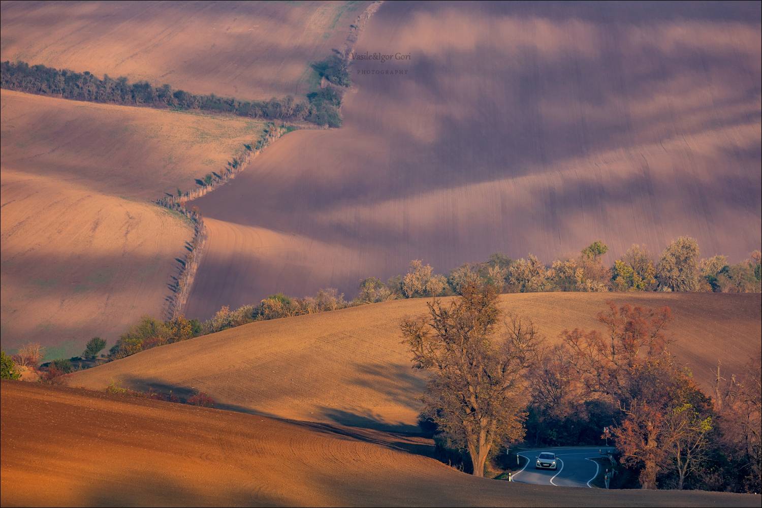 южная моравия,пейзаж,линии,south moravian,lines,свет,czech,осень,чехия,landscapes,, Гори Василий