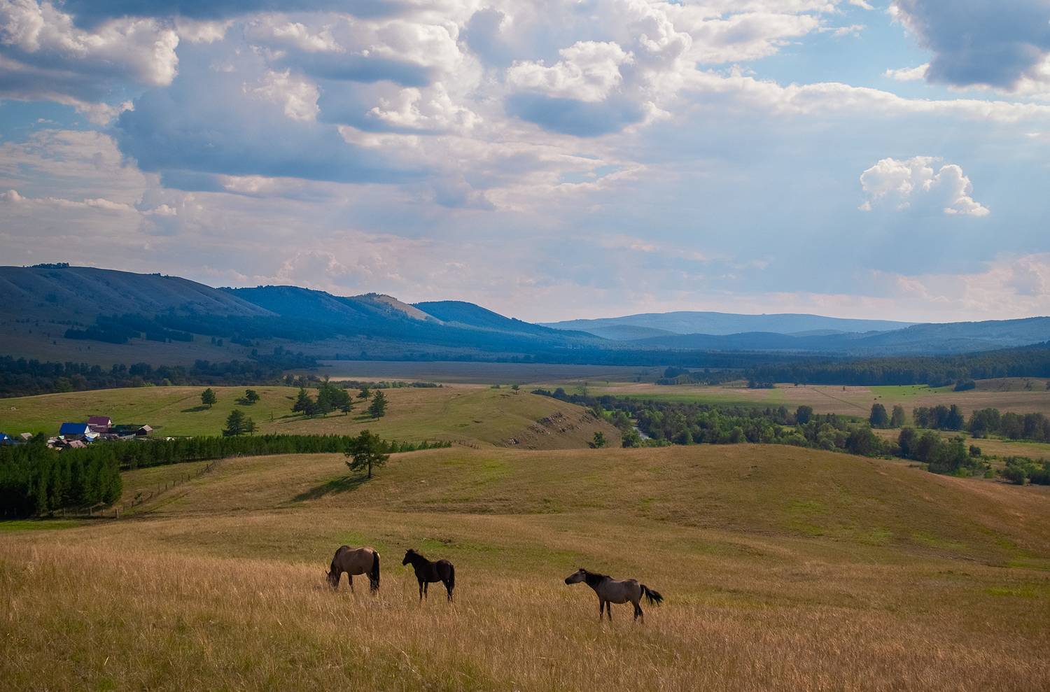 , Шустиков Дмитрий