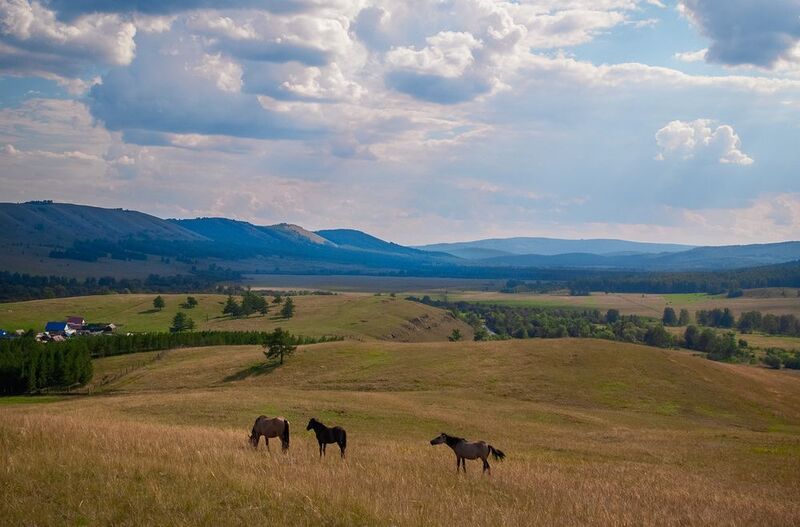 прогулка фото превью