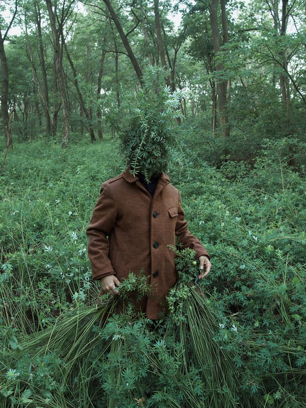 Scarecrow фото превью