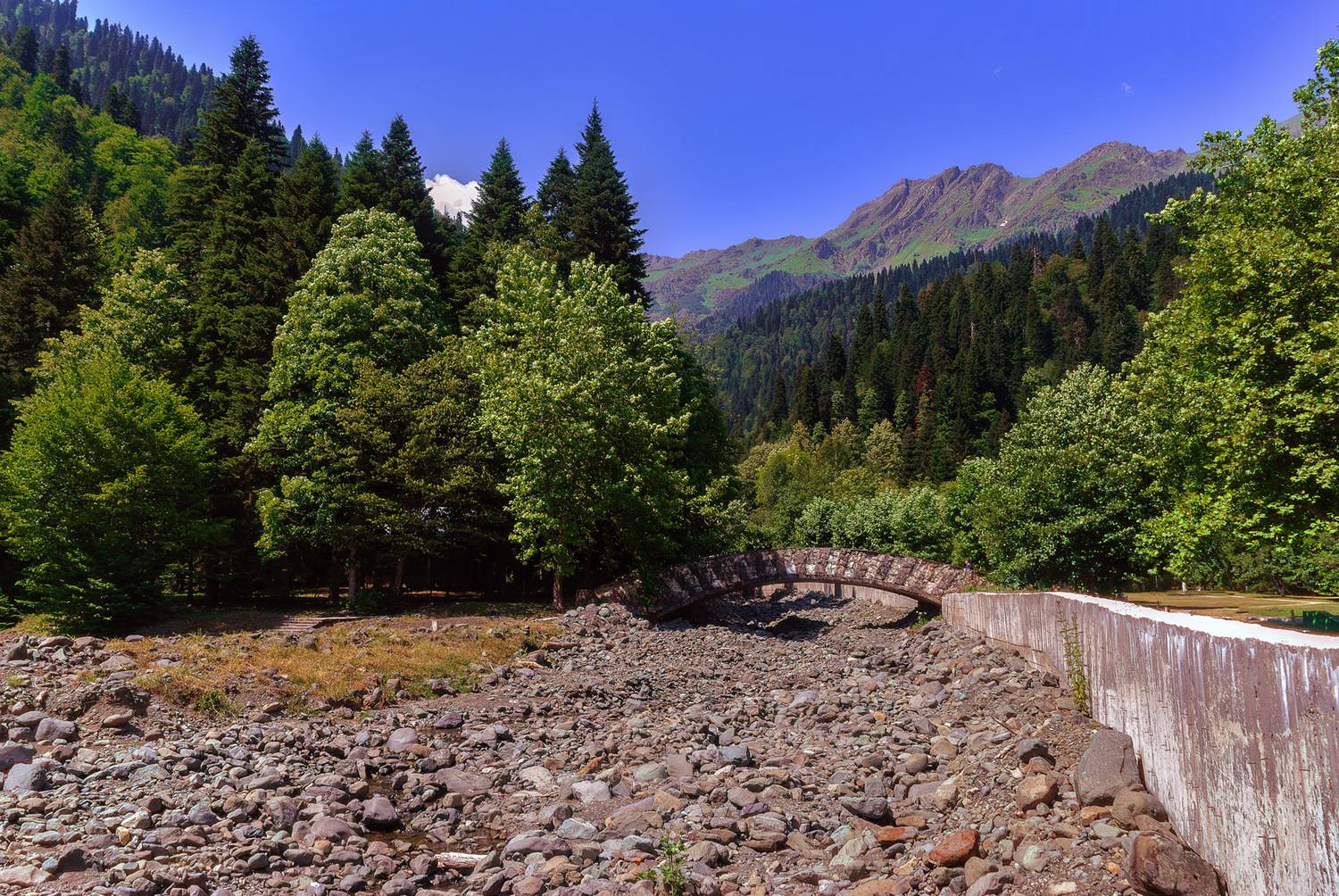 , Владимир Гамаюнов