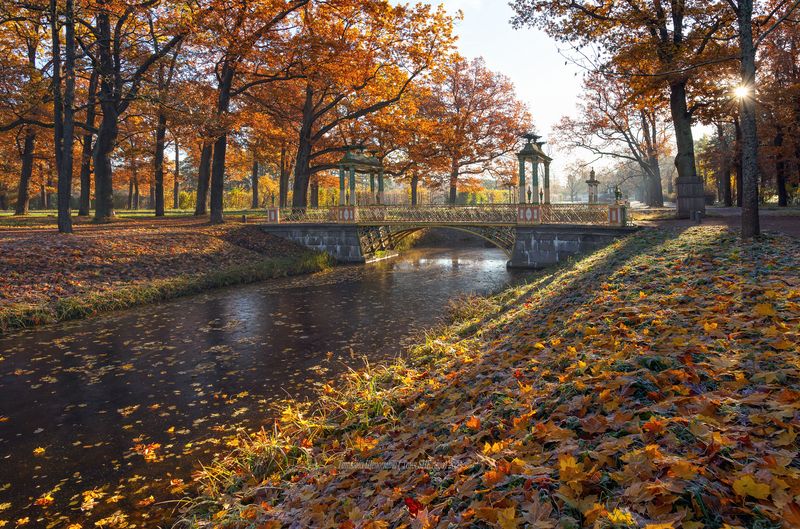питер, пушкин, царское село, царское,  landscape, tsarskoye selo, autumn, туман, городской пейзаж, санкт-петербург, закат, александровский парк Воспоминания о Царскосельской осени... фото превью