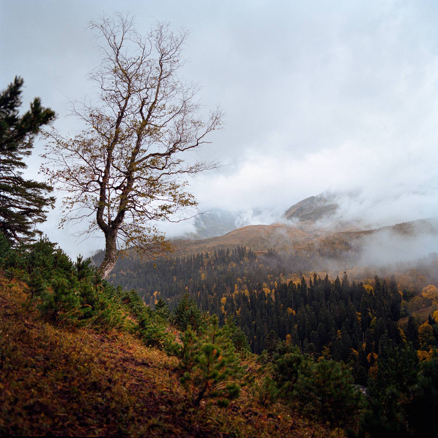 , Слава Азаров