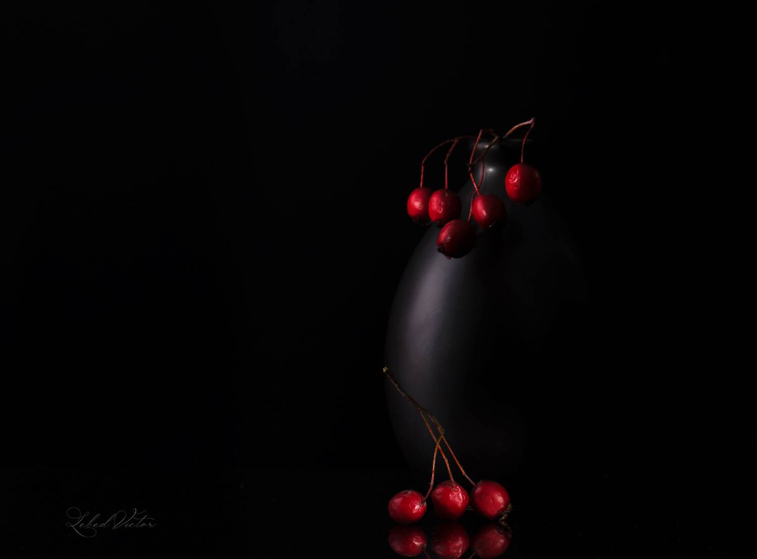 , Виктор Лебедь