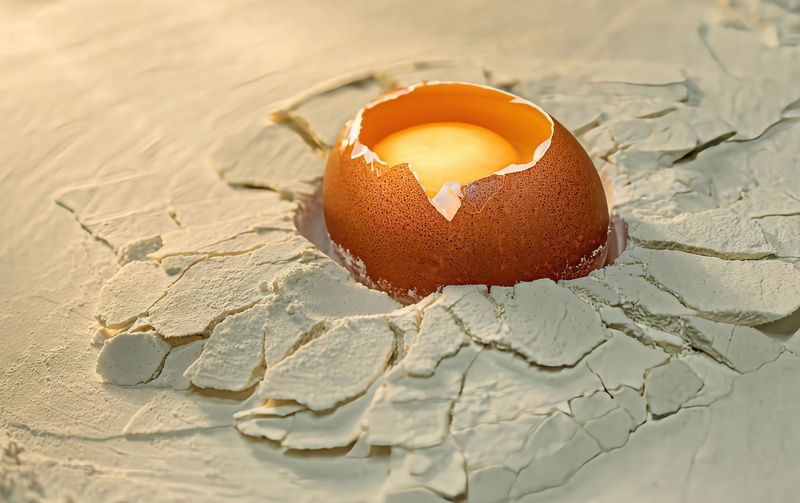 еда, , яйцо ЯЙЦЕ-ЧЕКСУЛУБСКИЙ МЕТЕОРИТ фото превью