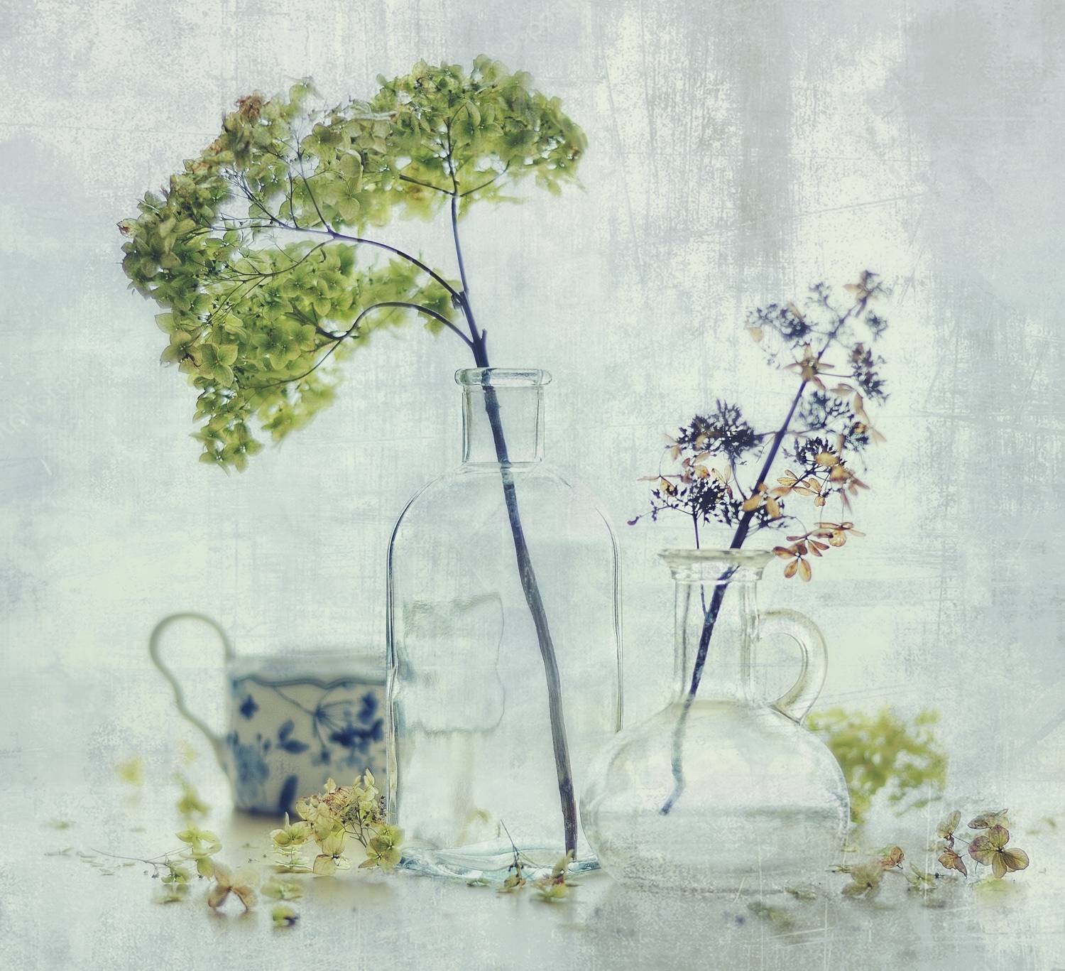 натюрморт,гортензия,цветы,осень,стекло, Наталия К