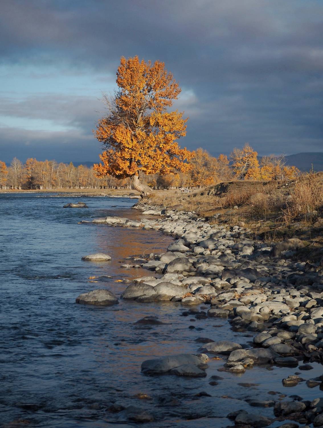 , Яковлев Евгений
