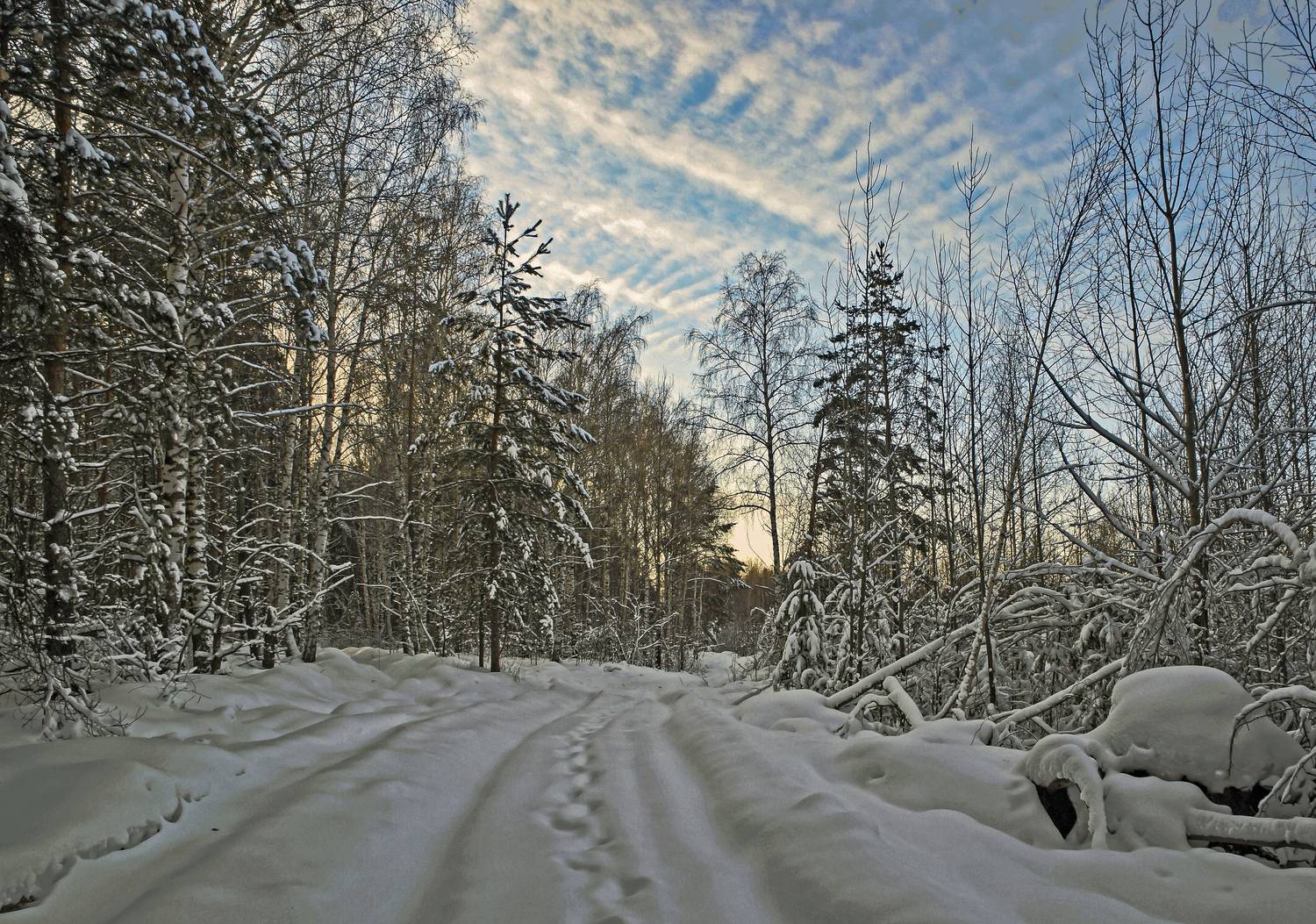 , Шитов Александр
