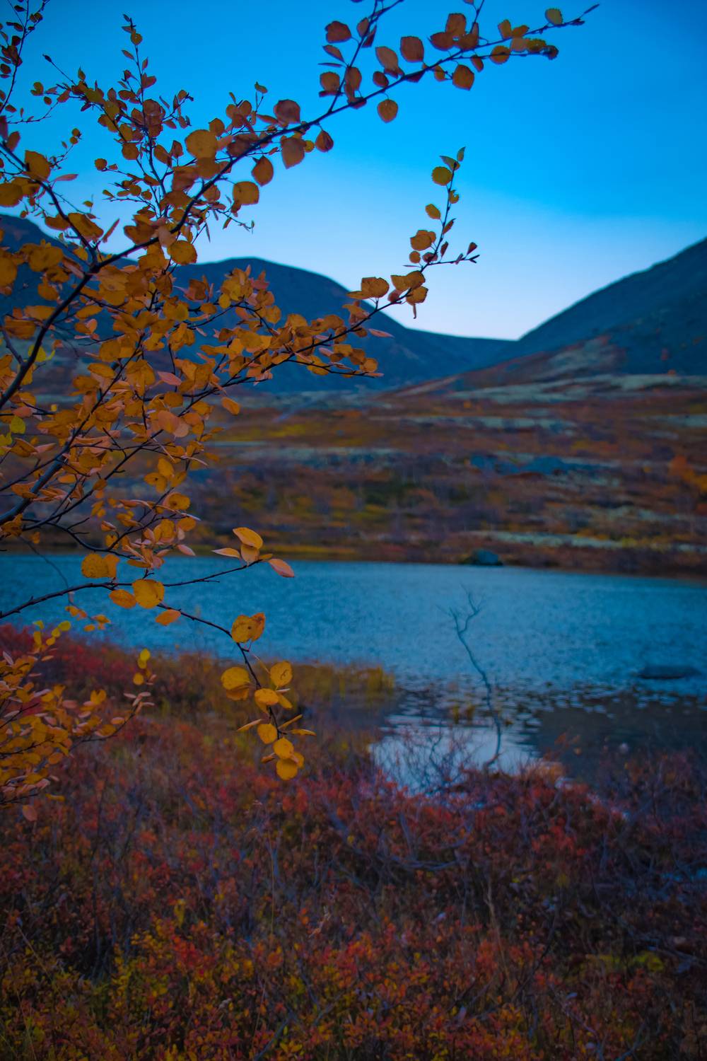 , Егорова Наталья