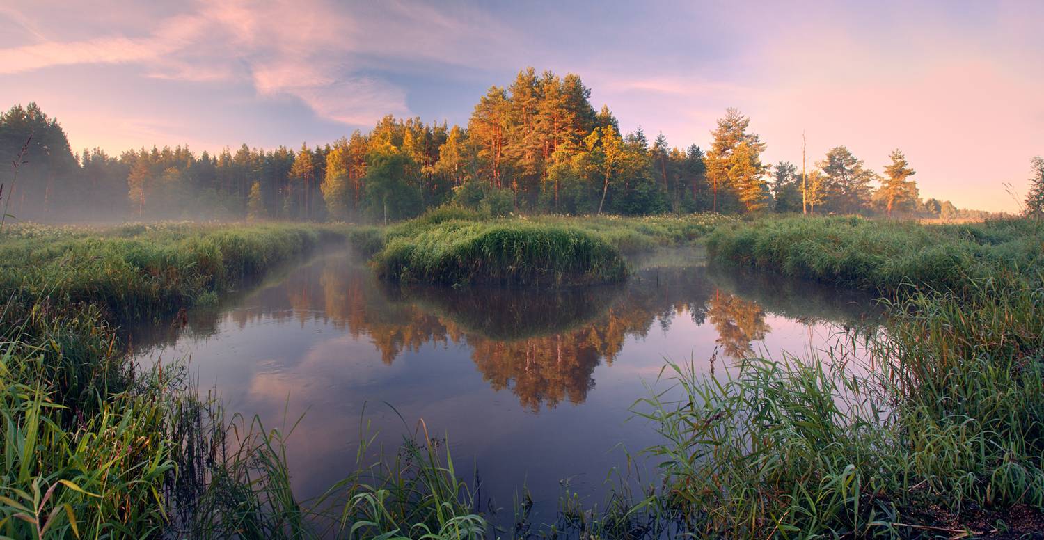 , Роман Лушпа