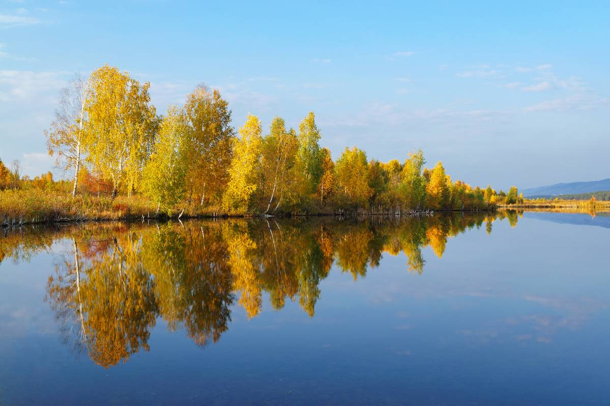 sony nex 5n +zuiko 28/2, Дмитрий Цыпляев