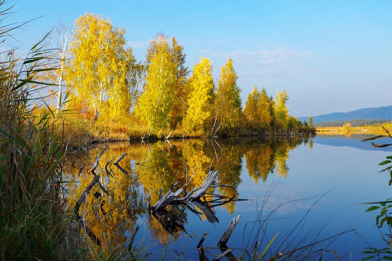 sony nex 5n +zuiko 28/2 ***** фото превью