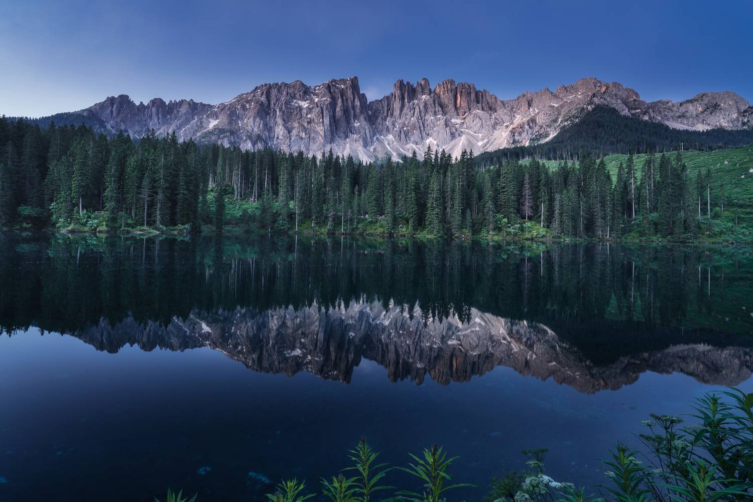 , Вукотић Никола