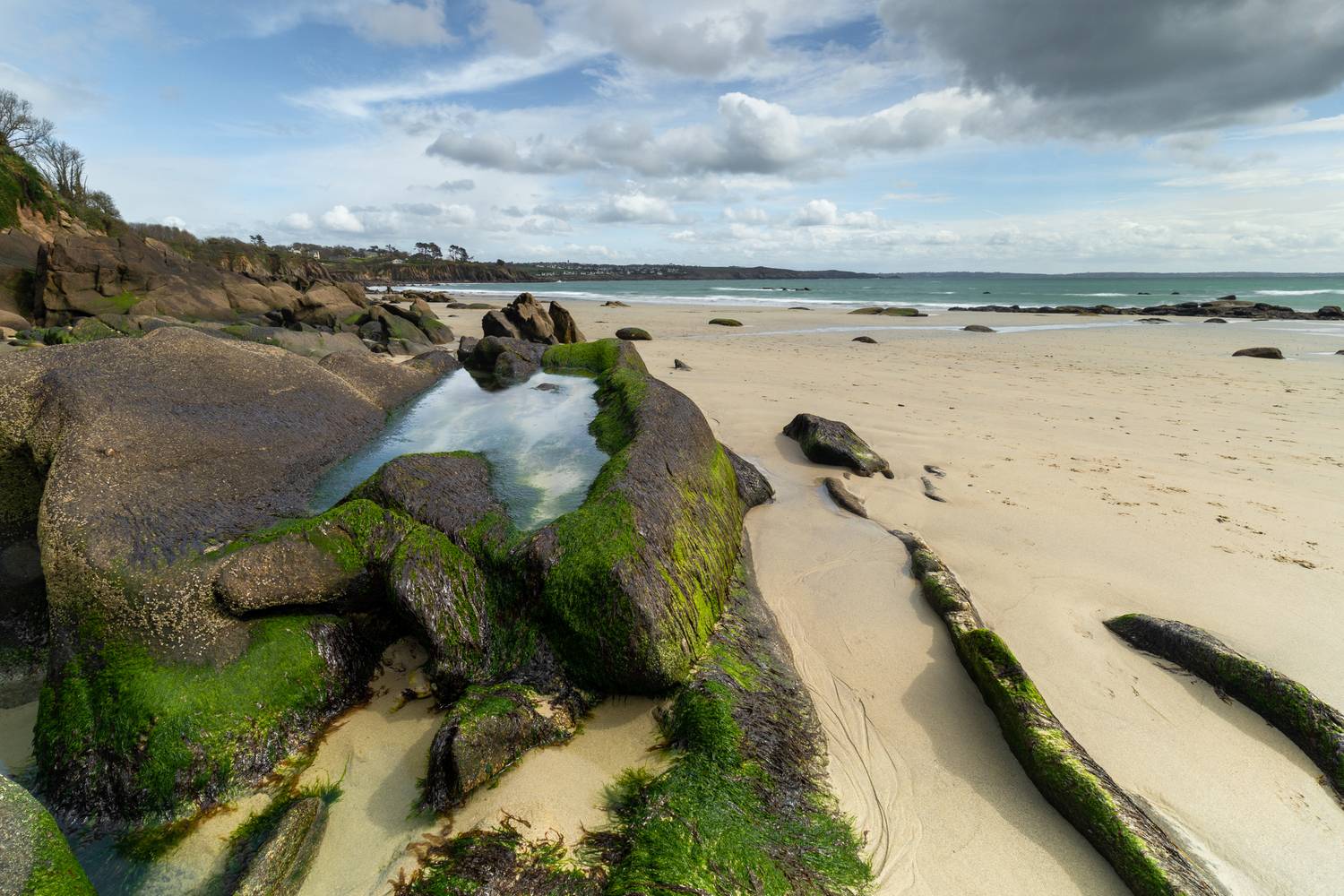 , Евгения Чех