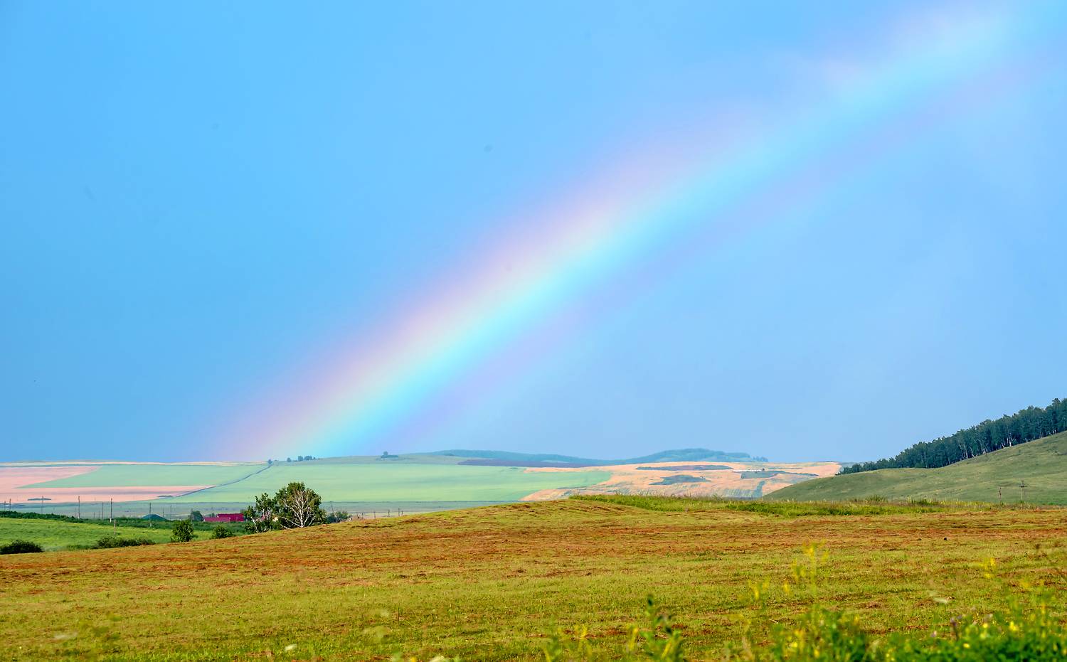 , Белоусов Михаил