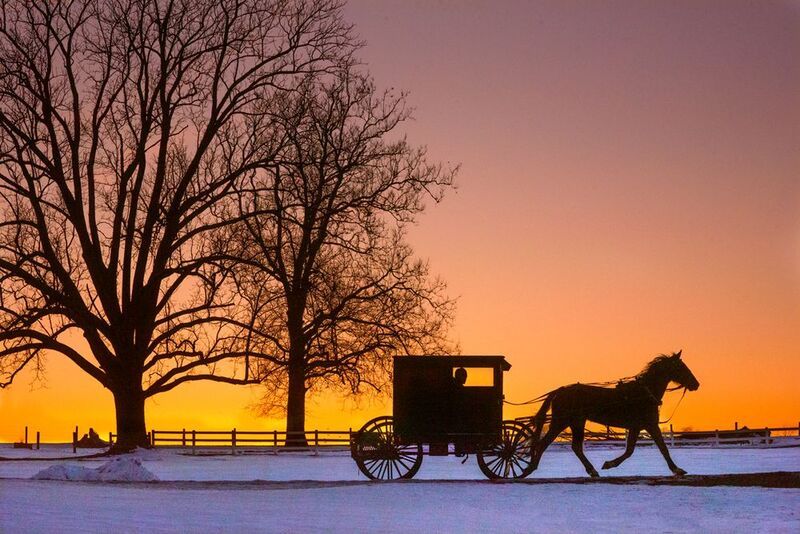 Horse and Buggy at Dusk фото превью