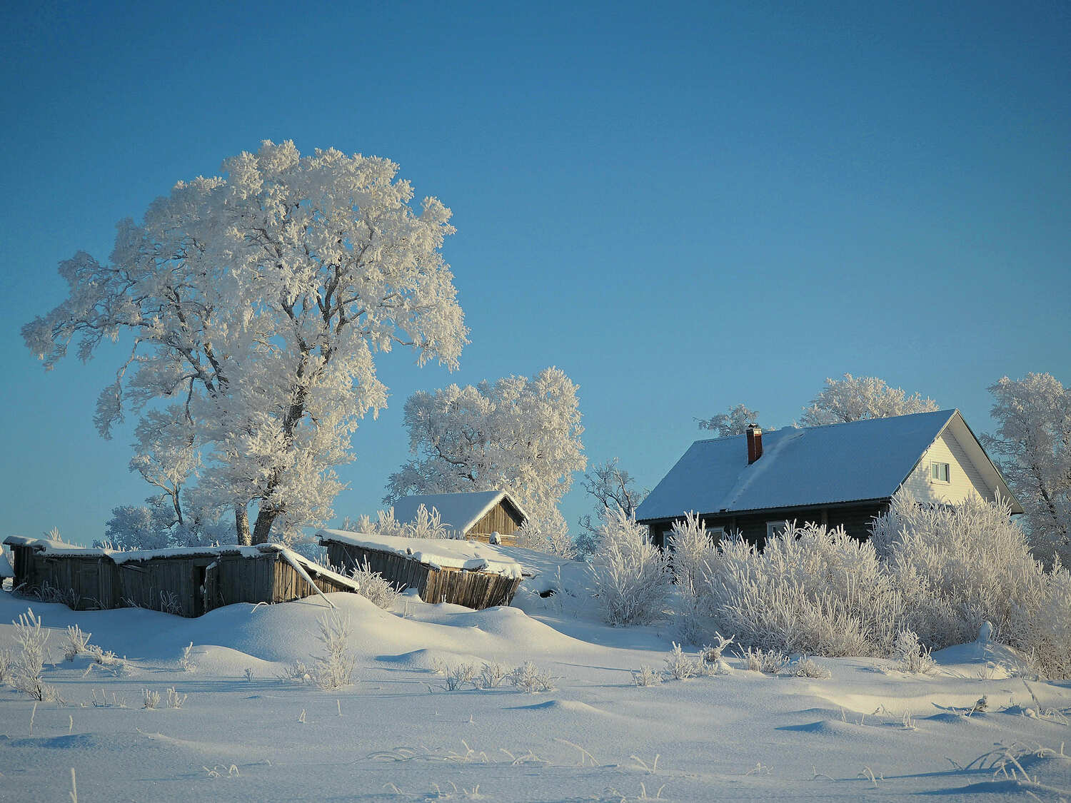 , Яковлев Евгений