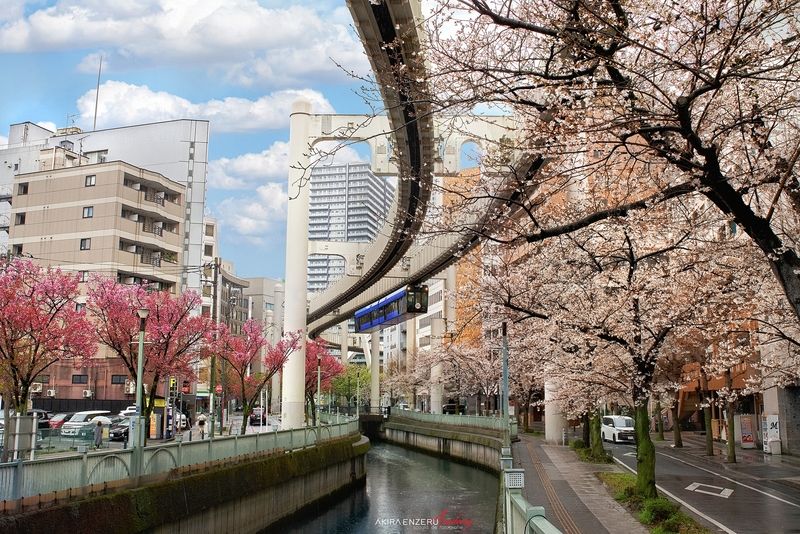 Chiba фото превью