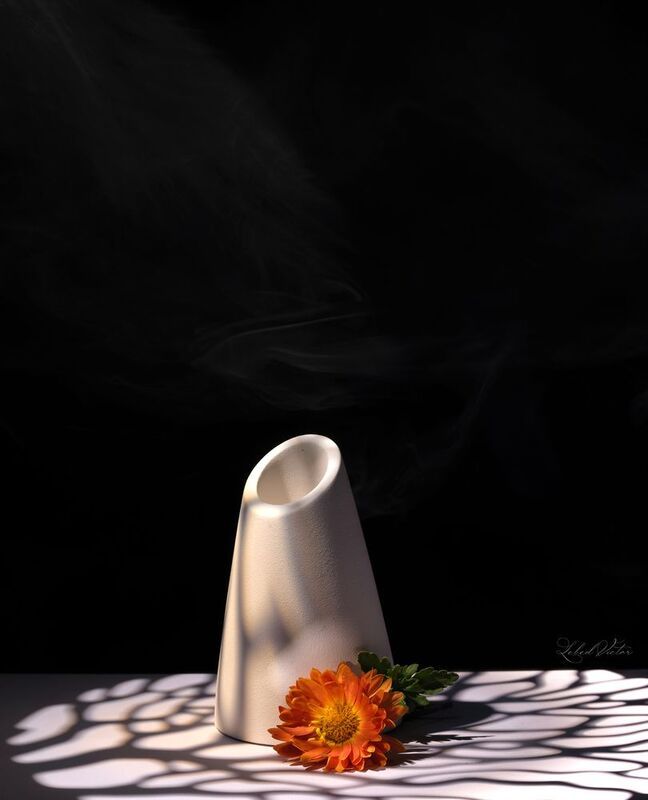 Golden-daisy фото превью