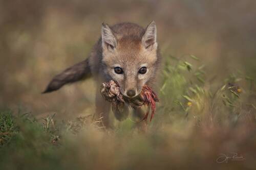 Граница детства