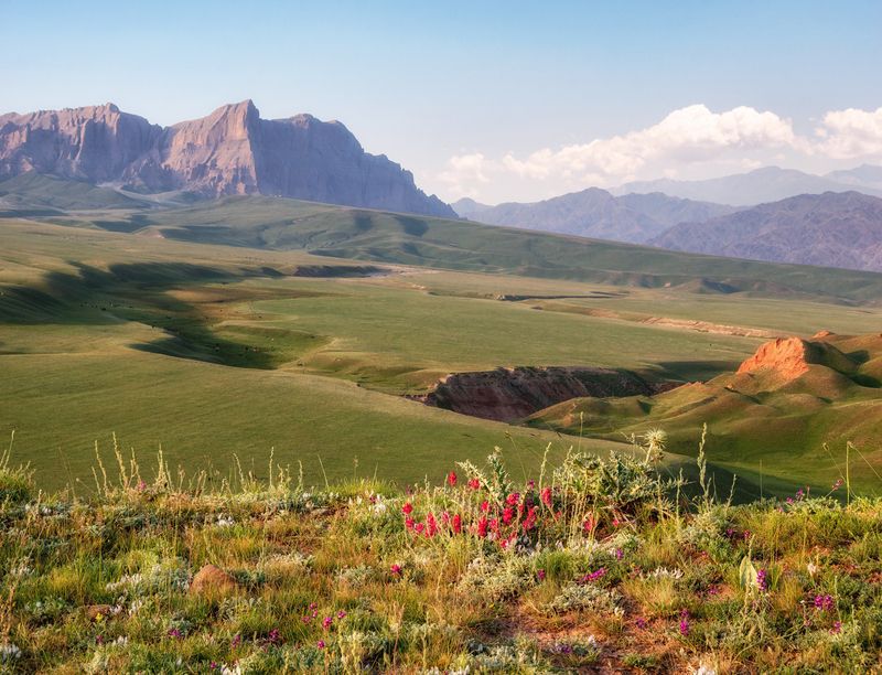 кыргызстан, горы тянь-шань, пейзаж, природа, альпийские луга, пастбища, цветы, кони, путешествие  фото превью