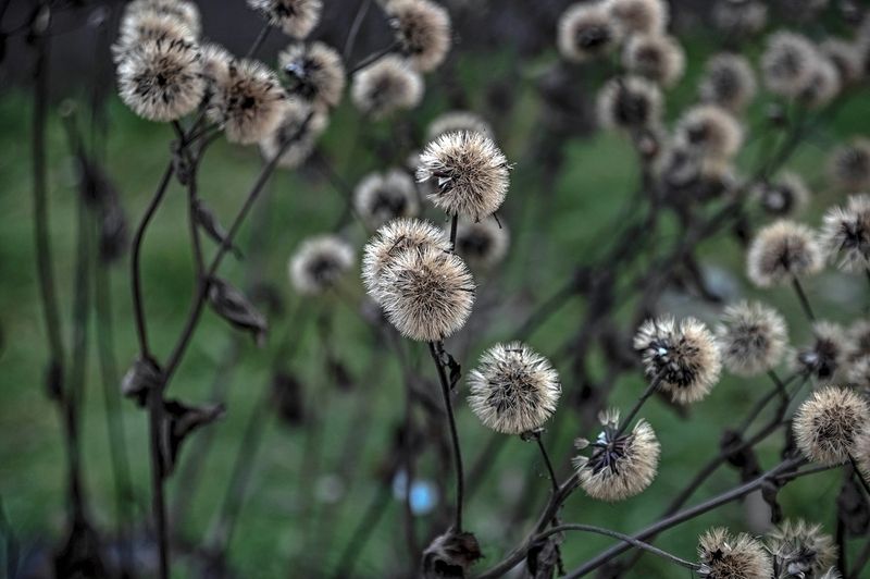 Декабрьские фото превью
