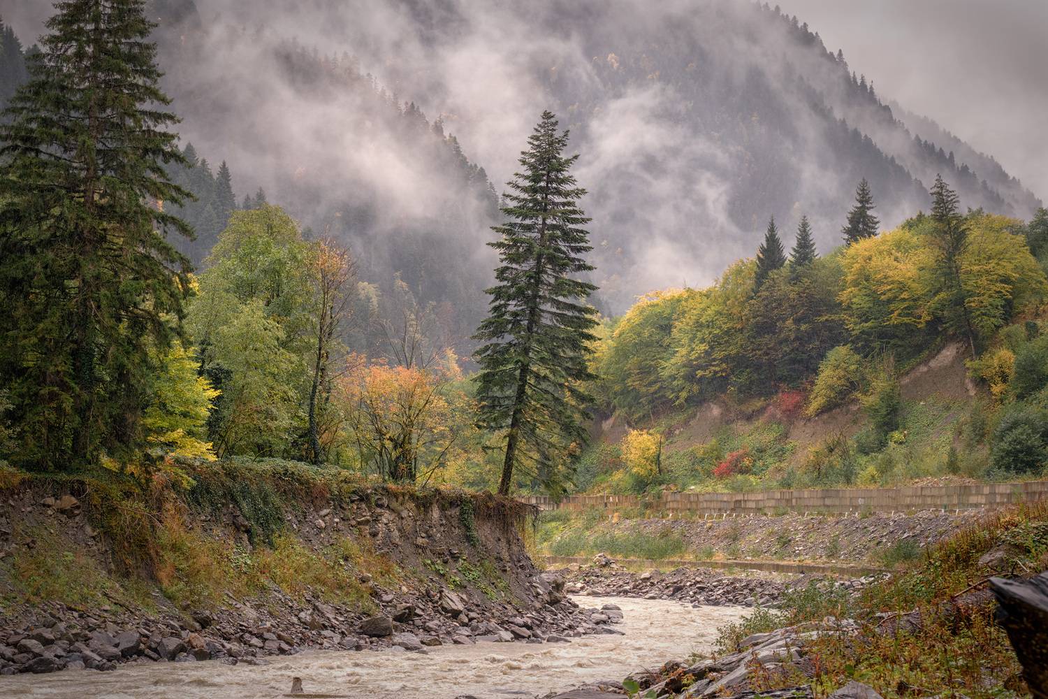 , Чиж Андрей