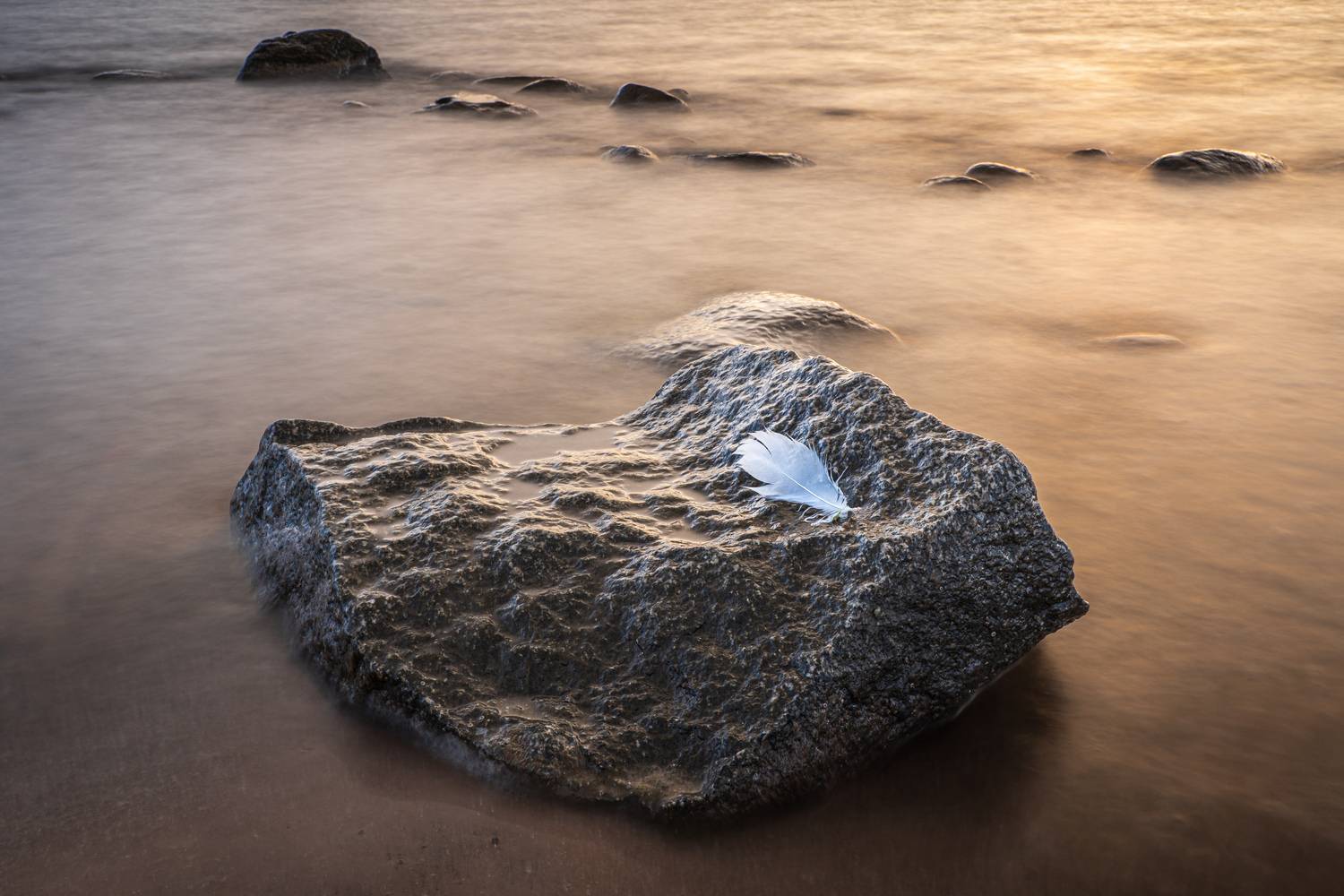 , Гордон Николай