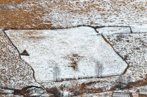 Графика первого снега