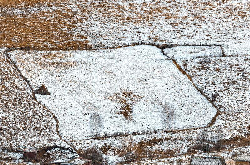 ставропольский край, ставрополье, кисловодск. кавминводы, графика, снег, первый снег, снежное, холм, холмистое, овраг, степь, степное, Графика первого снега фото превью