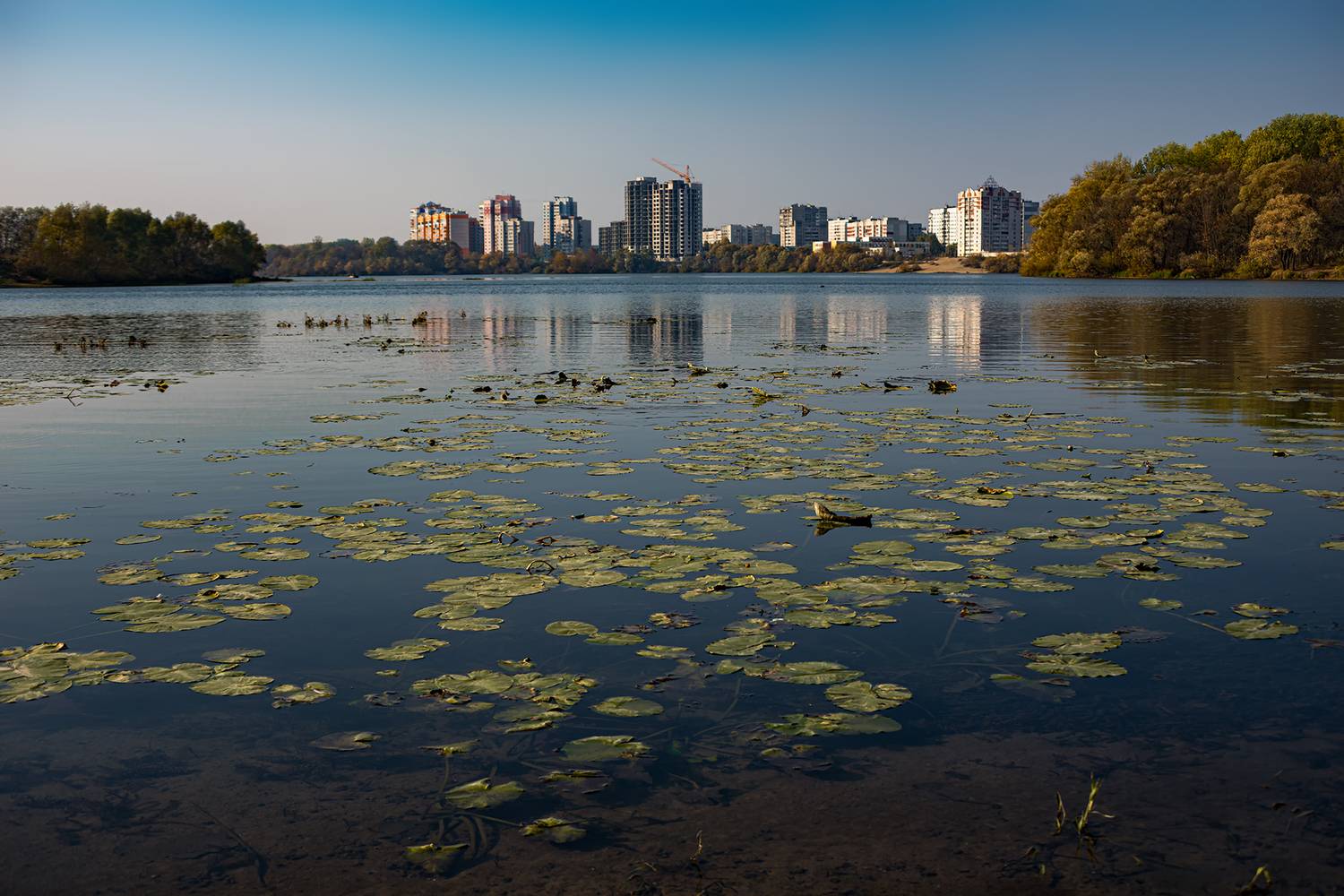 , Владимир Ноздрачев