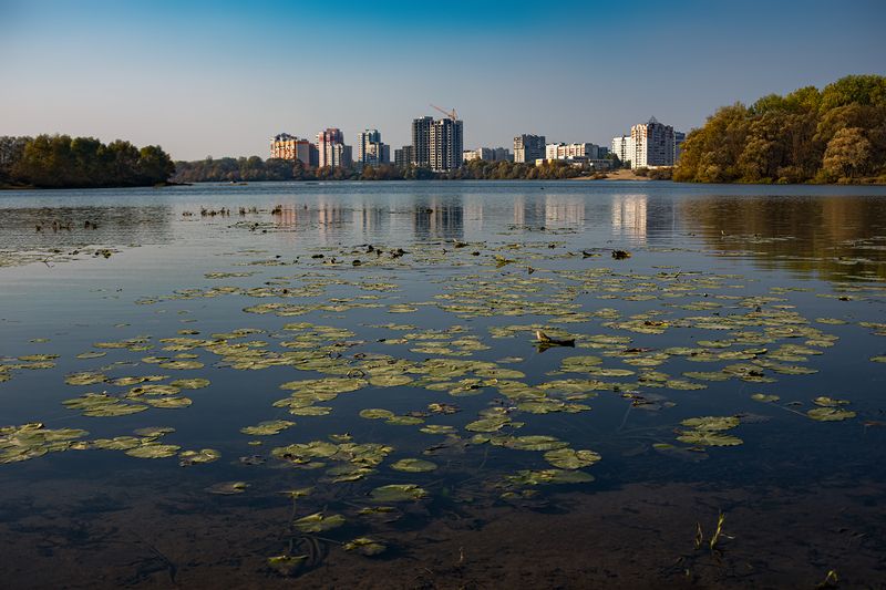 У края воды фото превью