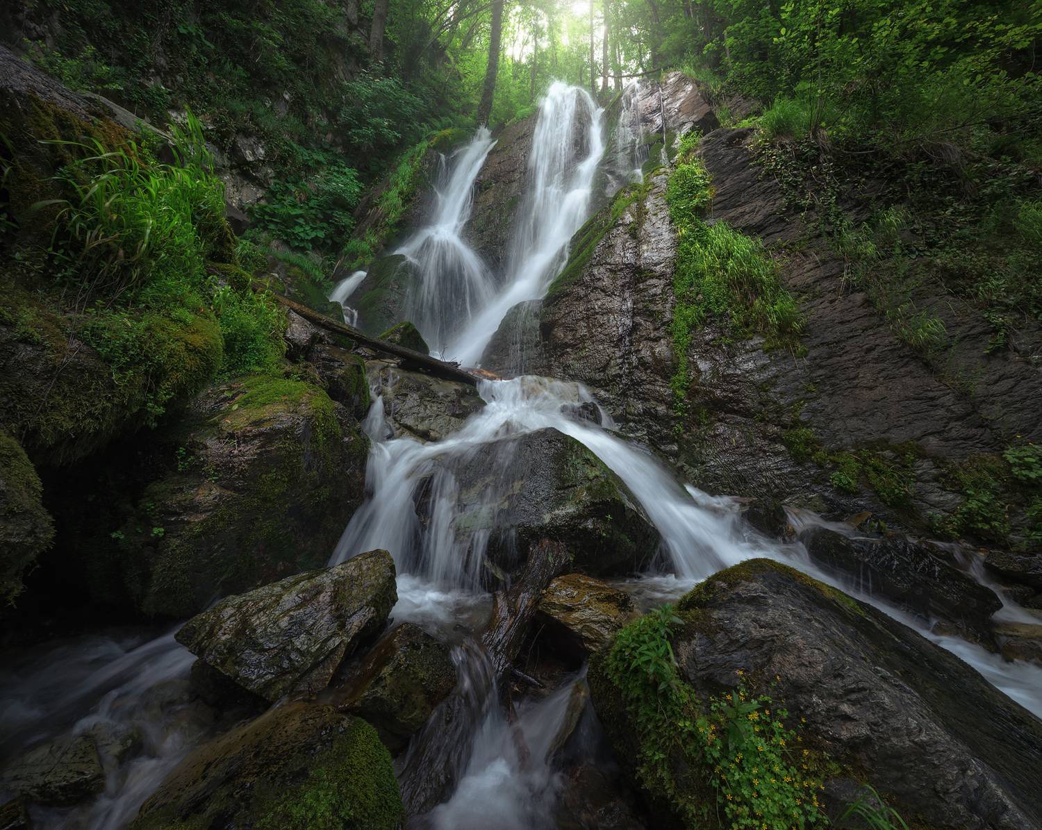 красная поляна, сочи, краснодарский край, Смольский Евгений