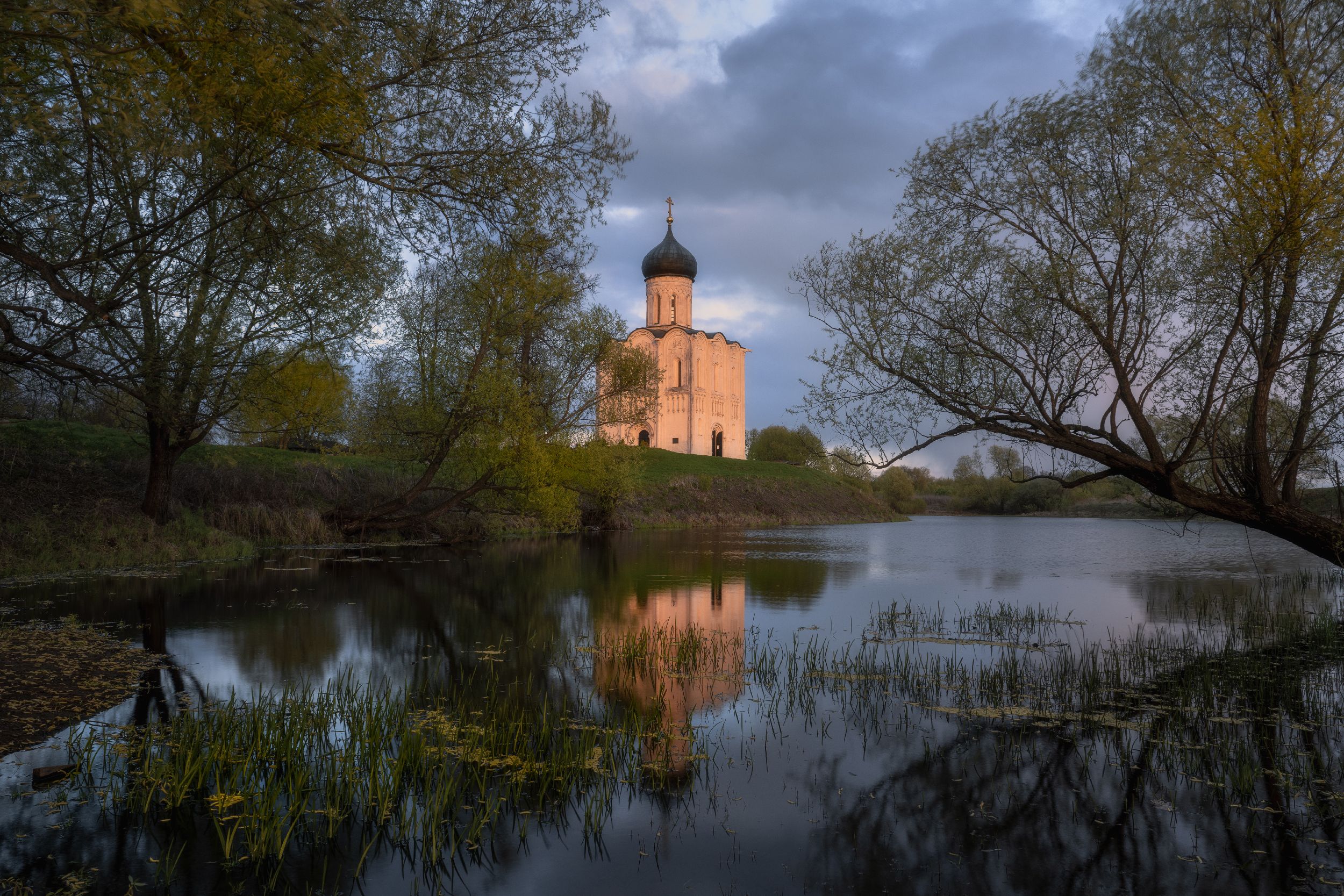 Первая зелень фото превью