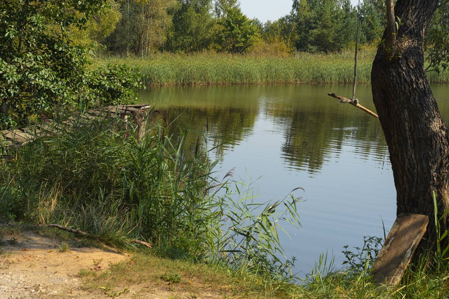 , Лысенко Сергей