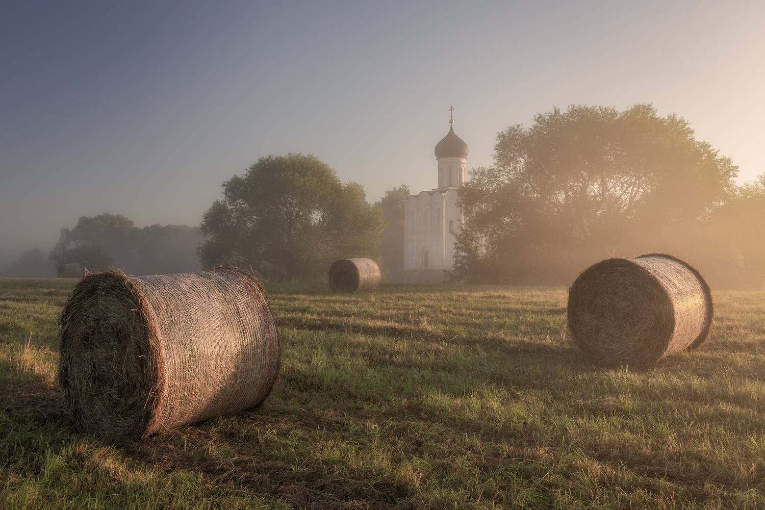 Владимирская область, Гусева Елена