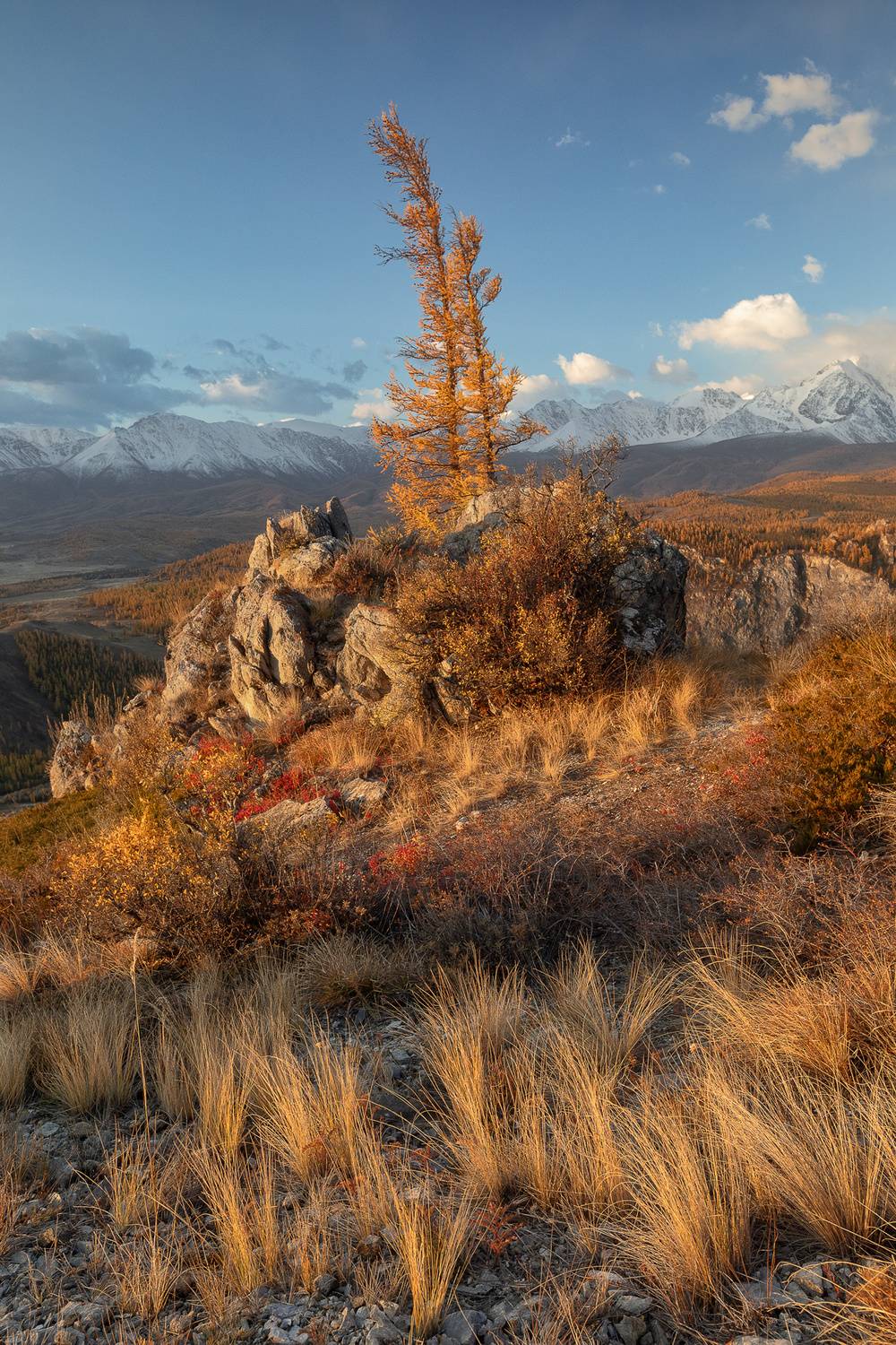 , Константин Маланин