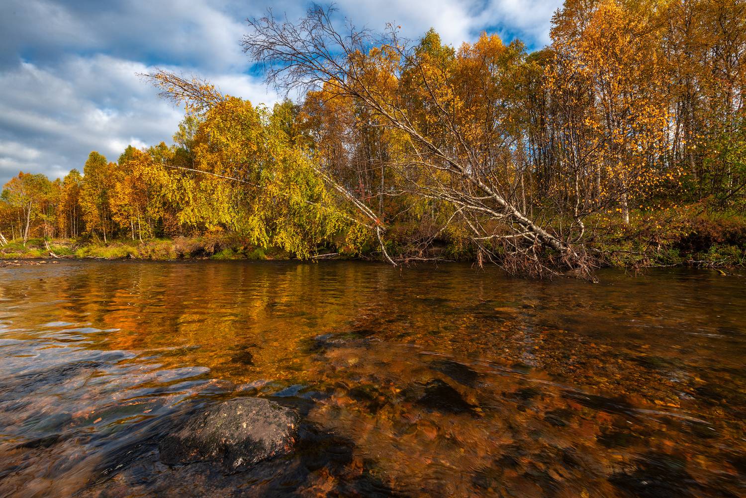 север, кольский, заполярье,, Роман Горячий