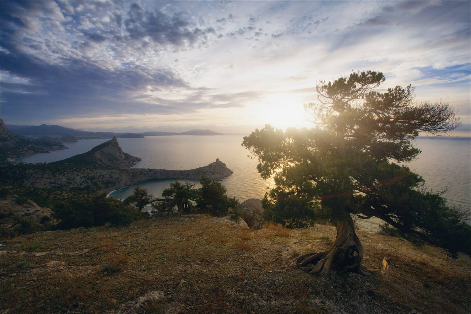 , Богорянов Алексей