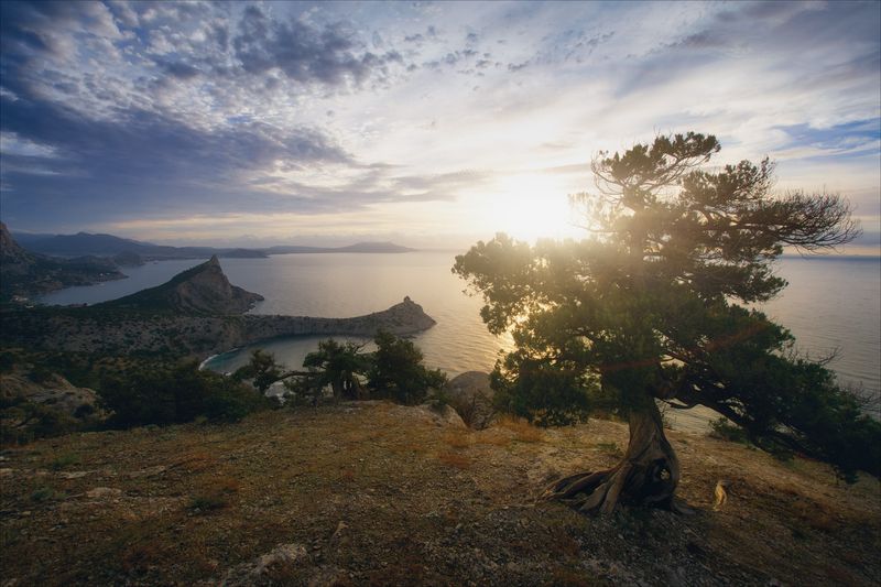 *** фото превью