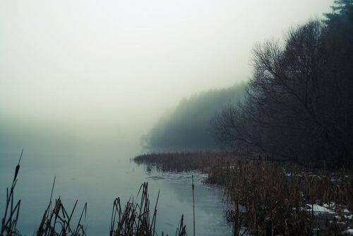 Туманный день на берегу замёрзшей реки (5)