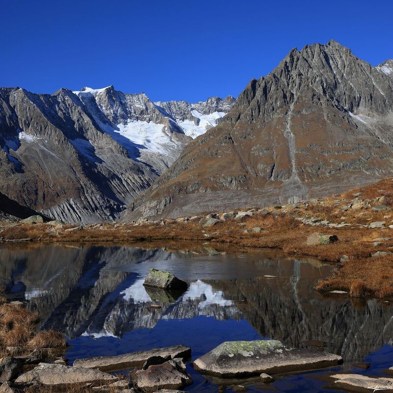 swiss Ледок... фото превью